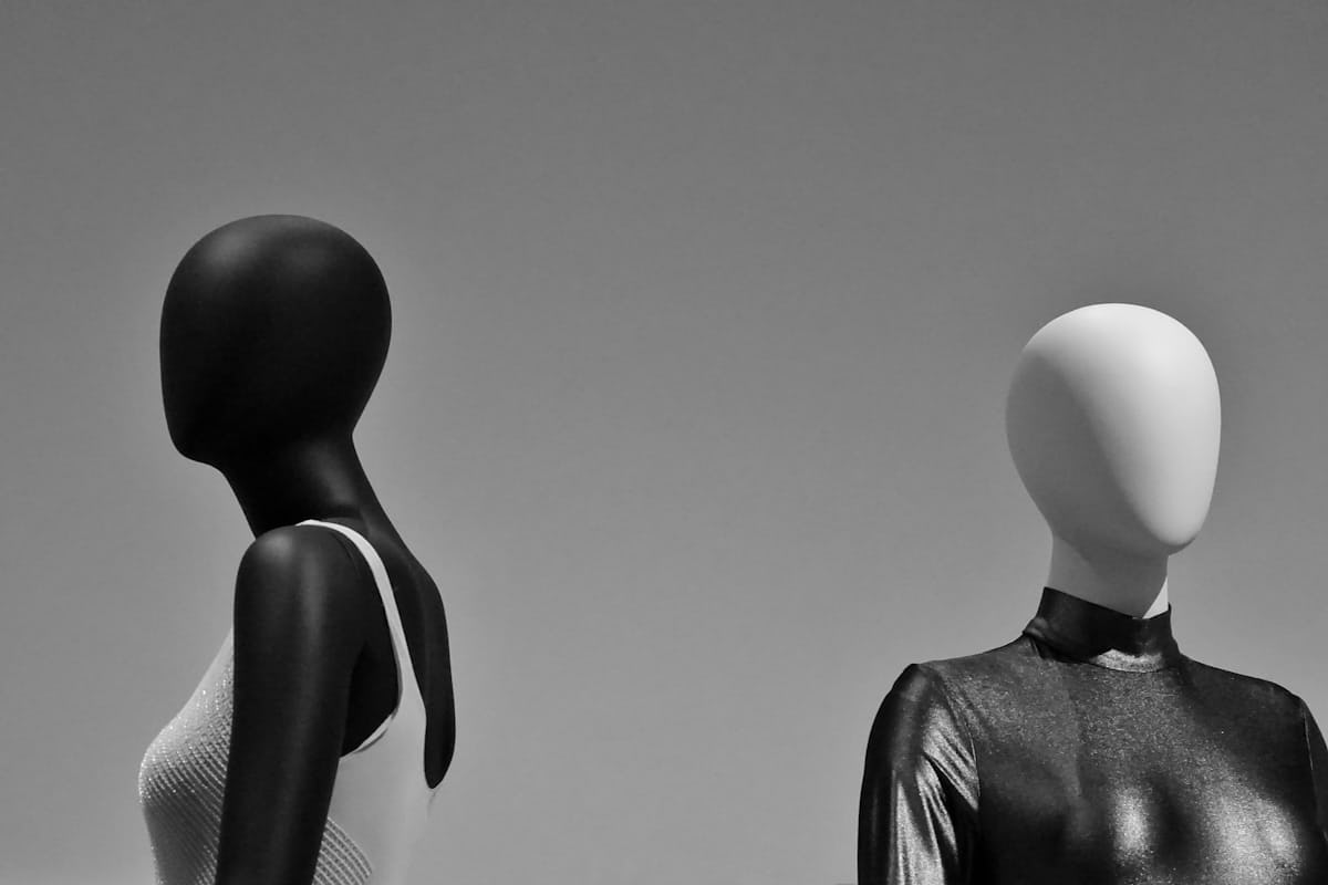 作品展示